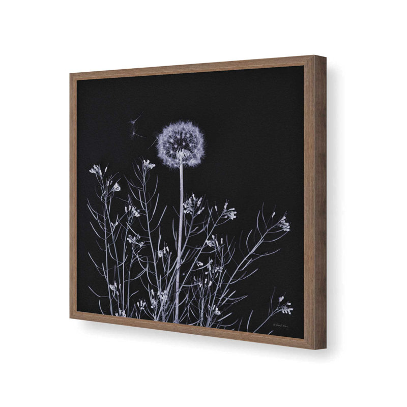 «Spring Gathering I» par Robin-Lee Vieira, reproduction d'art, Brown, 36 W x 36 H, Framed Print