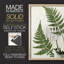 Impression encadrée Fern II - bois massif-2111977824-2111977756