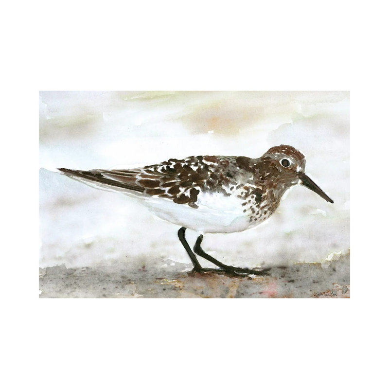 Sandpiper I by Stellar Design Studio - Painting on Canvas, 101.6 cm H x 66.04 cm W x 1.91 cm D, Wrapped Canvas