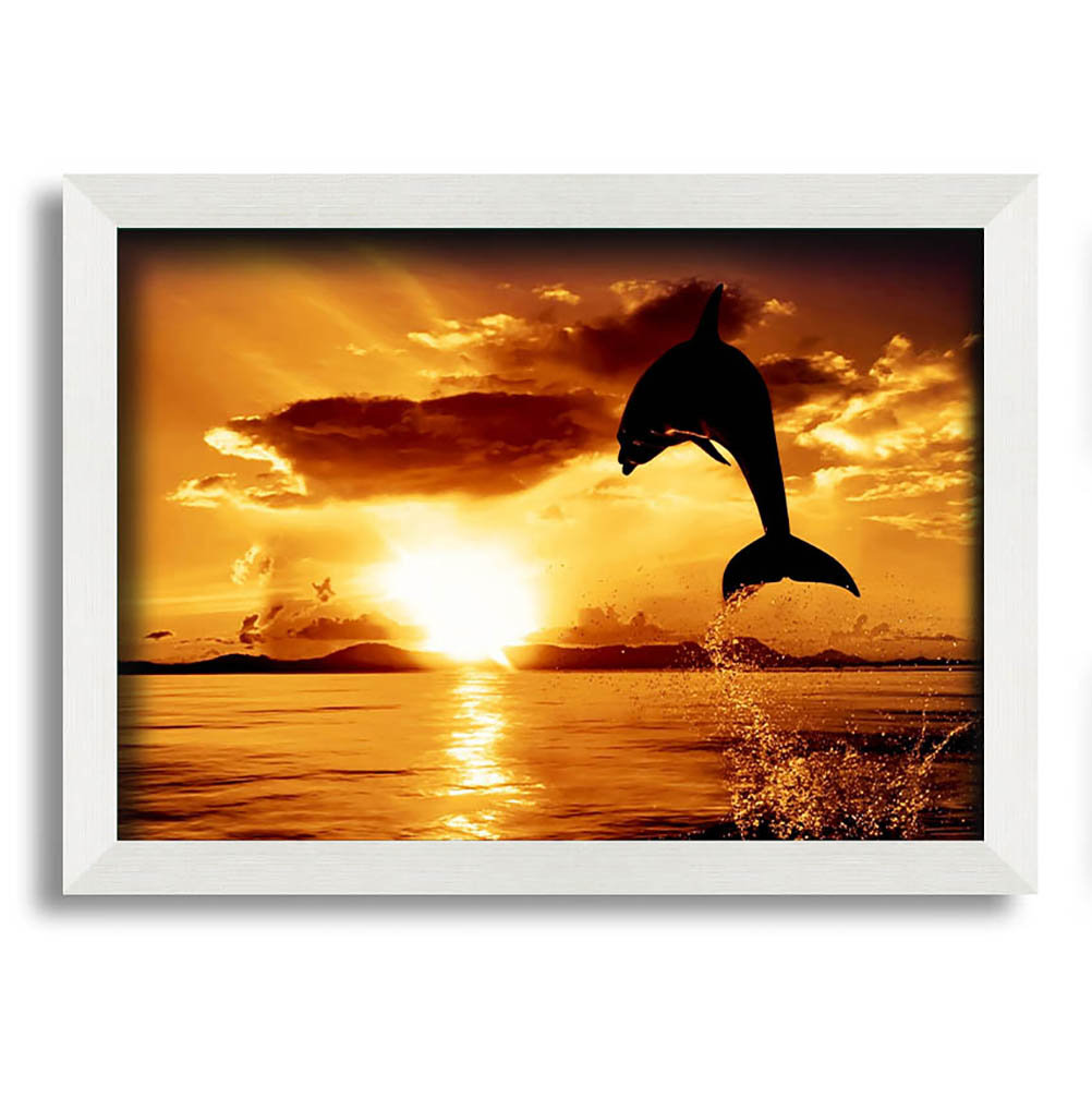 Gerahmtes Bild Dolphin Sunset