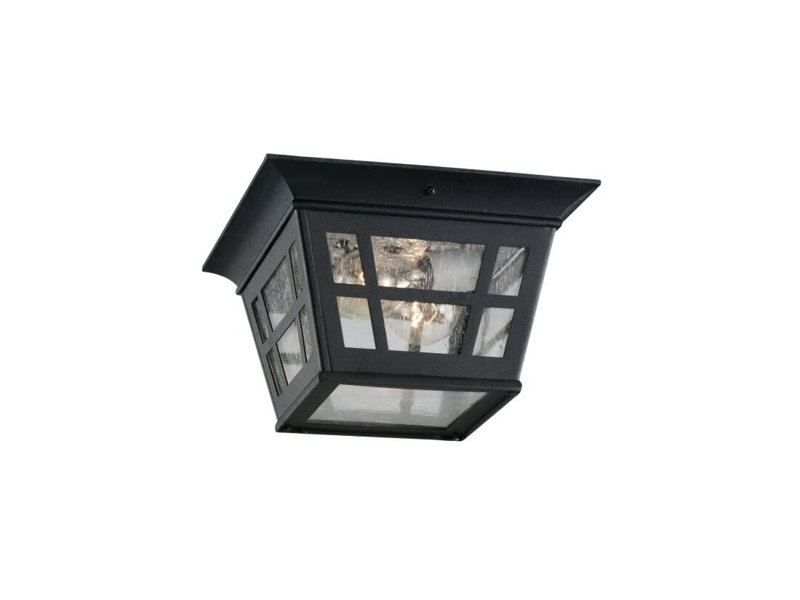1 plafonnier d'extérieur 2 lumières Herrington (noir)
