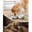 Anti-Skid Pet Bowl-114642038