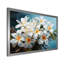 Fleurs de Plumeria méticuleusement rendues blanches P Dba522B1 - Art mural Plumeria-1985209537-1985209548