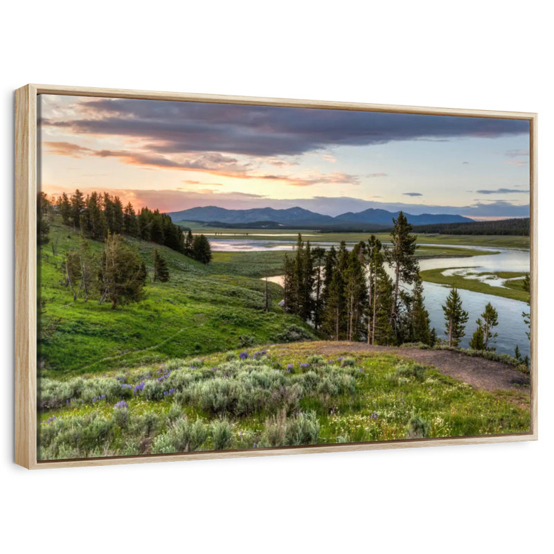 Hayden Valley Hills, Floating Frame Natural Wood, 43" X 29"
