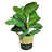 30'' Faux Fiddle Leaf Fig Plant in Wicker/Rattan Pot