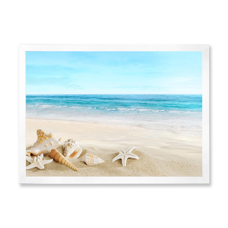 Paysage avec coquillages sur une plage tropicale - photographie sur toile, Cadre photo blanc, H 16 po x l 32 po
