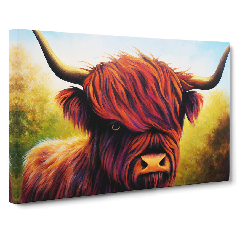 A Highland Cow - Wrapped Canvas