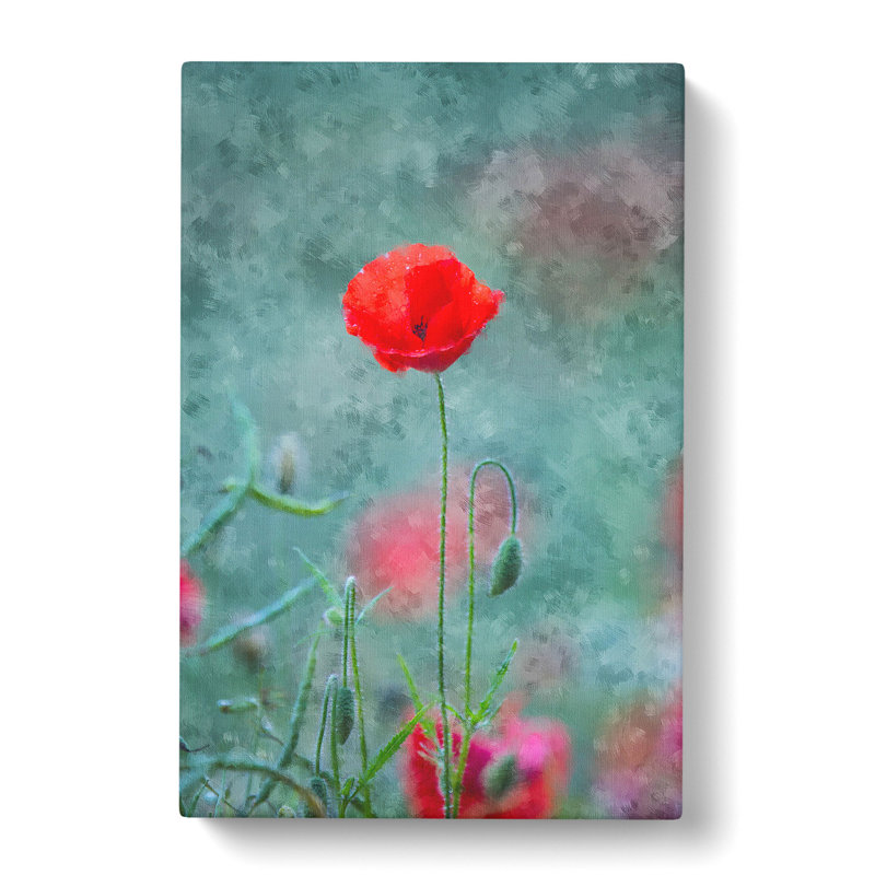 A Lone Poppy Flower - Wrapped Canvas, 60cm H x 40cm W x 3cm D