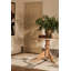 Fossil Ash Area Rug-1653474231