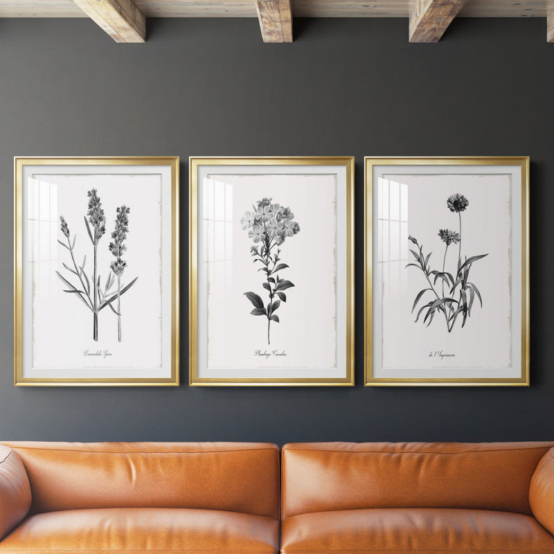Simply Imperial - Ensemble de 3 reproductions de cadres photo, Doré, H 30,5 po x l 127,5 po x P 1,5 po