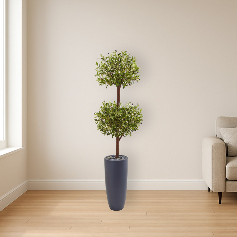 Olive Double Tree in Gray Cylinder Planter