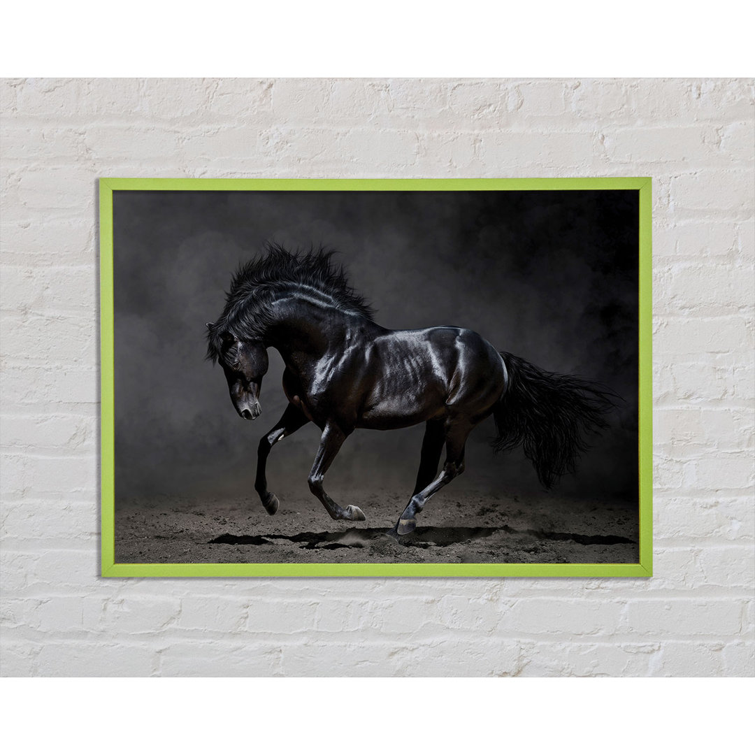 Kulas Black Beauty Horse - Einzelner Bilderrahmen Kunstdrucke