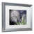 argent