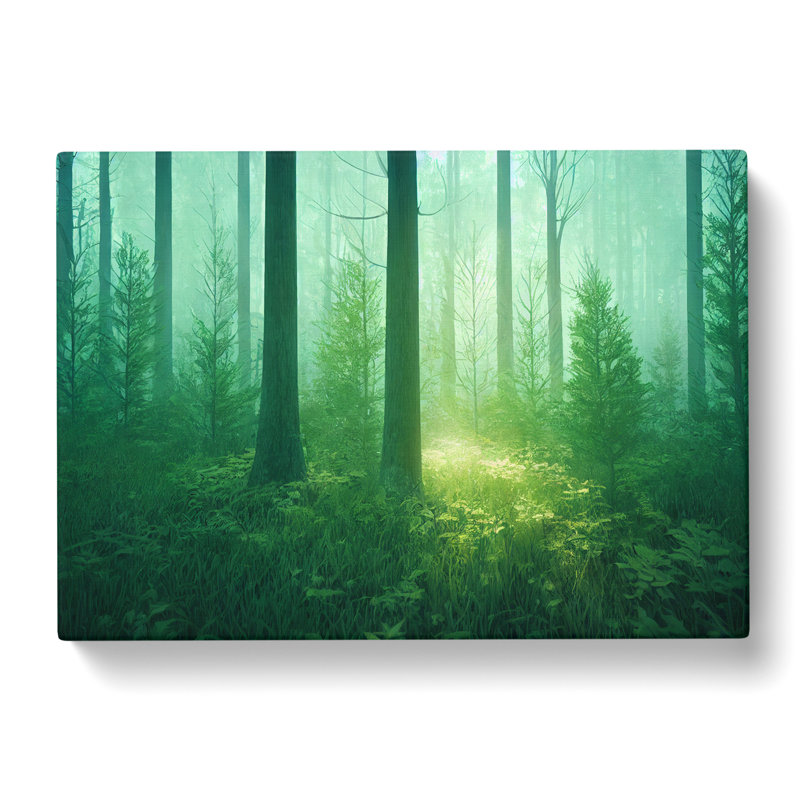 An Unbelievable Forest - Wrapped Canvas, 50cm H x 76cm W x 3cm D