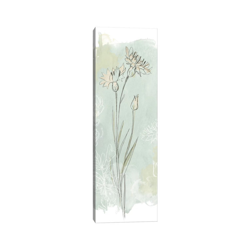 Stone Flower Study I by June Erica Vess - Wrapped Canvas Panoramic Painting, 30.48 cm H x 91.44 cm W x 1.91 cm D