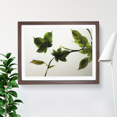 Garden Leaves - Single Picture Frame Print