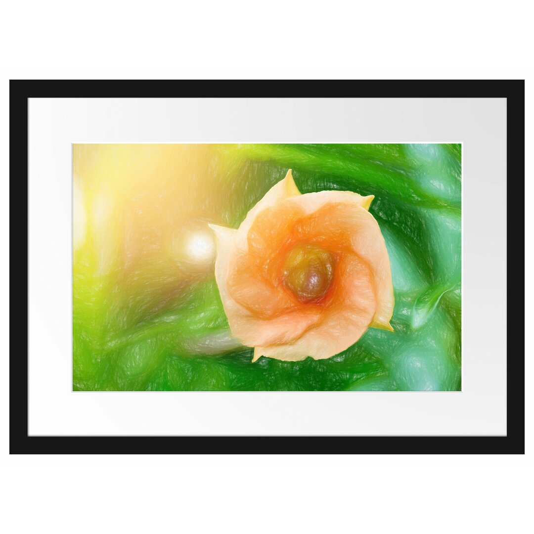 Gerahmtes Poster Orange Blume im Sonnenlicht