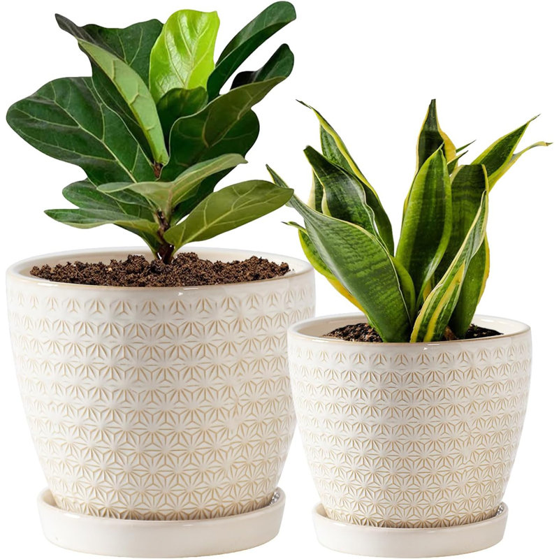 Ensemble de 2 pots à plantes en céramique