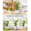 HDHPOT Ceramic Pot Planter