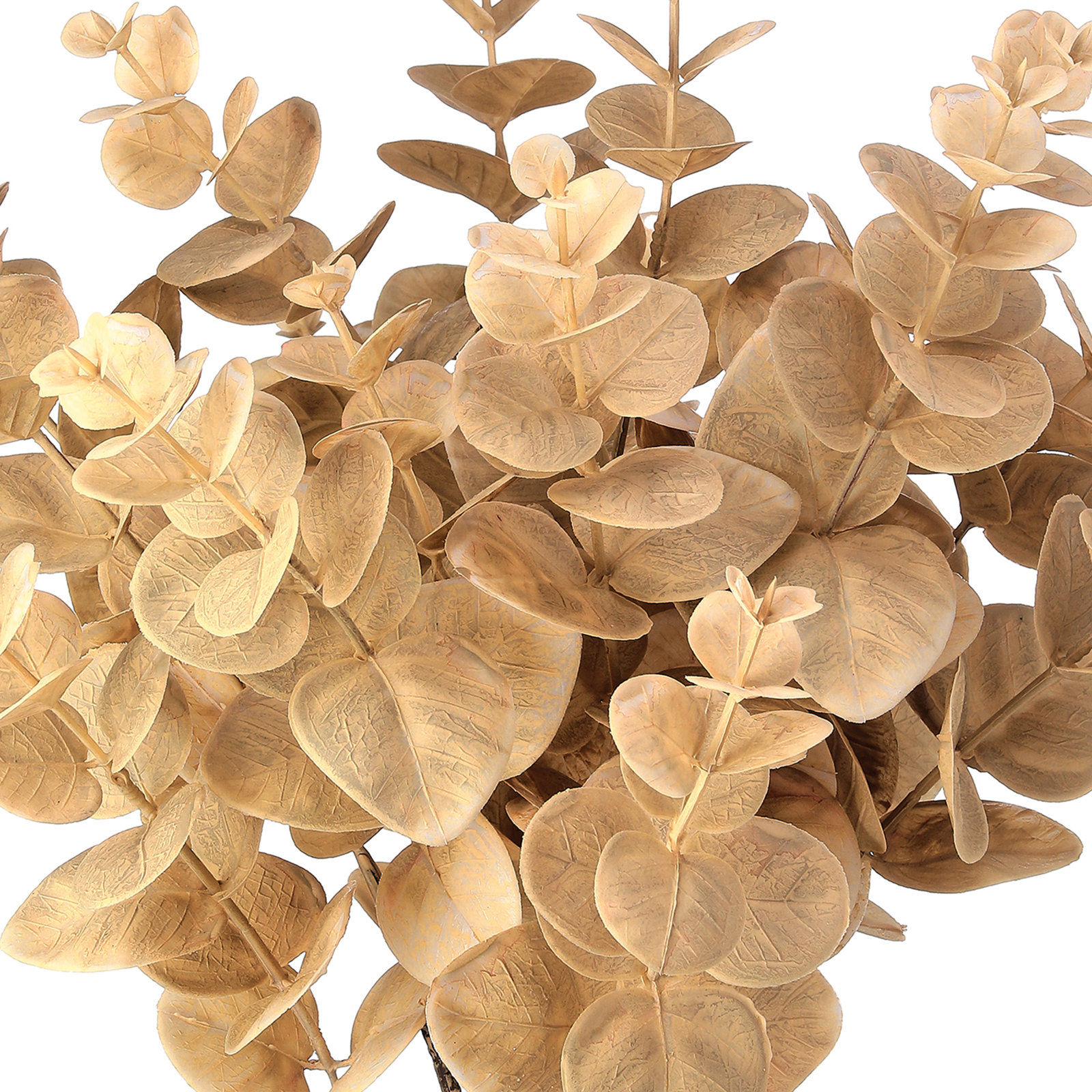 Autumn Eucalyptus Stems, Tan
