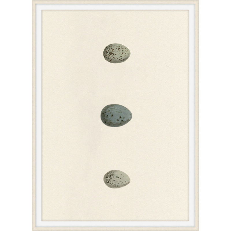 by Studio L57 Nouvelle, 15" H x 12" W