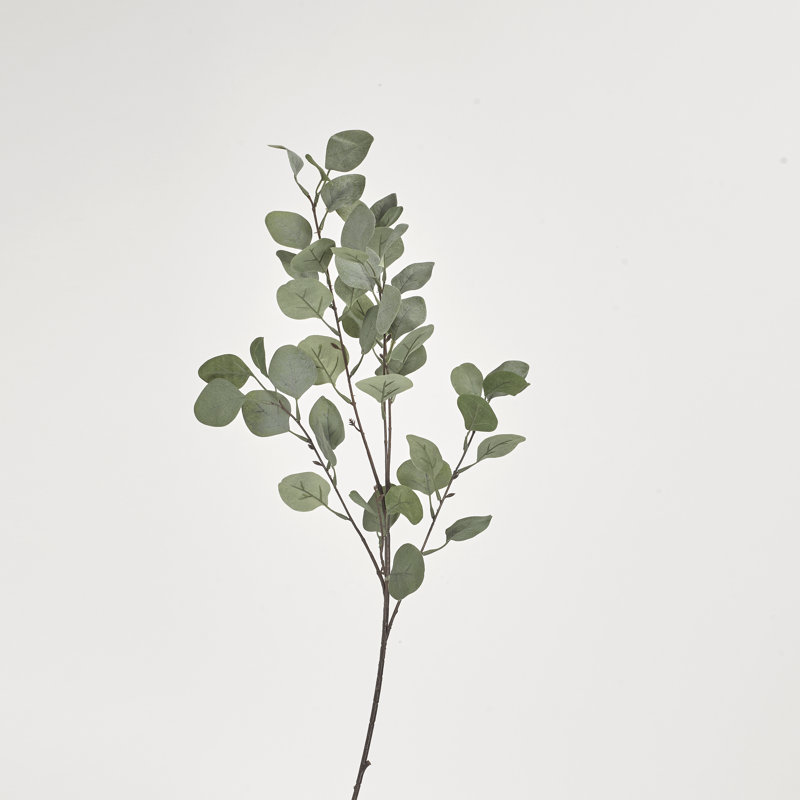 36'' Faux Silver Dollar Eucalyptus Branch