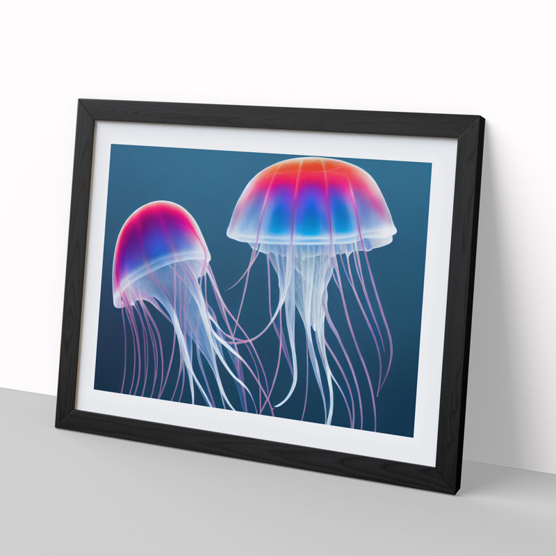 Jellyfish Vol.2 - Single Picture Frame Print, Black Framed, 46cm H x 64cm W x 2cm D