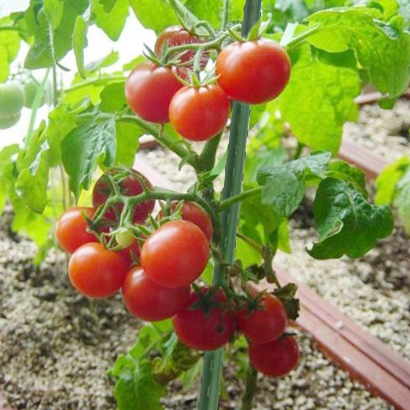 Supports de jardin Rosenkranz pour plantes en pot