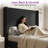 Crofford Modern Corduroy Upholstered Bed with 63''/65'' Tall Headboard & Solid Wood Leg-15391563-14536593