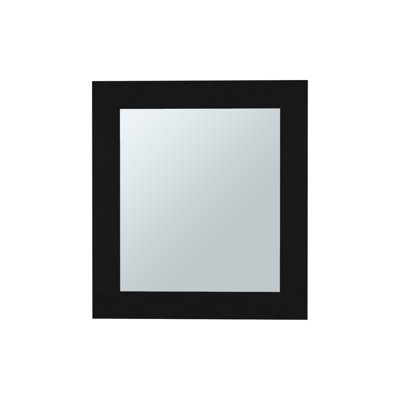 Froehlich Mirror Medicine Cabinet