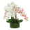 Orchid Arrangement in Glass Vase with Moss