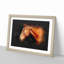 Chestnut Brown Horse - Framed Print-56917170-56917173