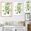 «White Green Minimalisme Eucalyptus Essence» sur toile-1421034563-1421034608