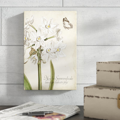 «Narcissus Botanique I», impression sur toile