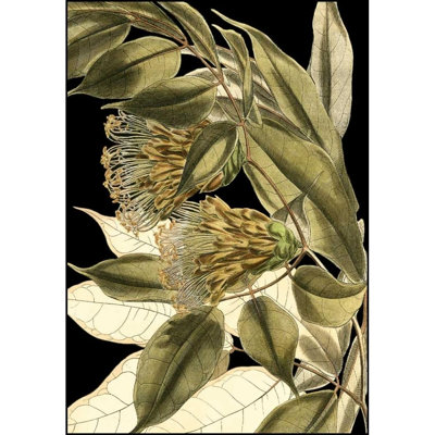 Art sur toile tendue avec art Gallery: Direct Tranquil Tropical Leaves VI
