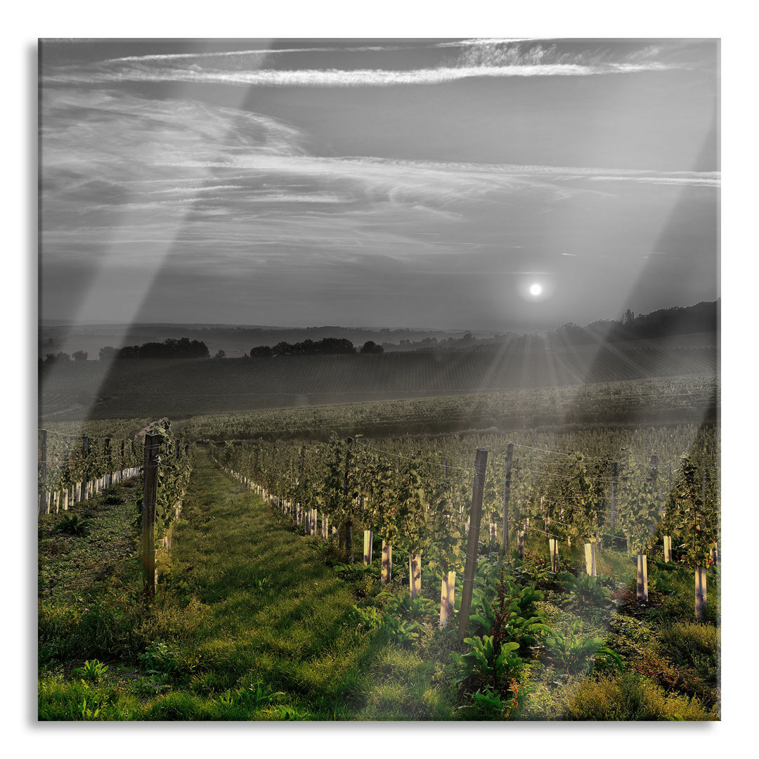 Glasbild Vineyard in Bergerac, France