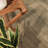 Canyon Run 8 in. x 48 in. Matte Porcelain Wood Look Floor and Wall Tile-36931587