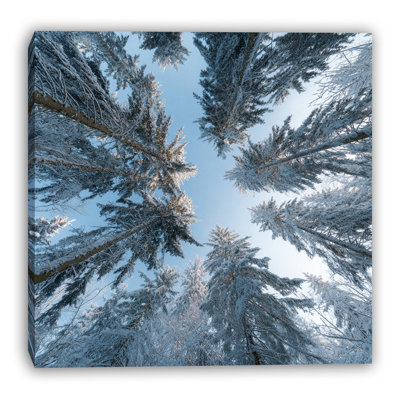 Toile d'hiver vue sur toile tendue