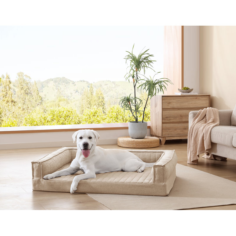 Lit pour animaux en mousse à mémoire de forme Arlee Home & Pet Thermatec Cooling Mod, Tanné, H 10 po x l 45 po x P 36 po