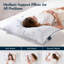 Oreillers en duvet d'oie blanche de la côte Pacifique, format Queen (lot de 2)-126090162-126090164