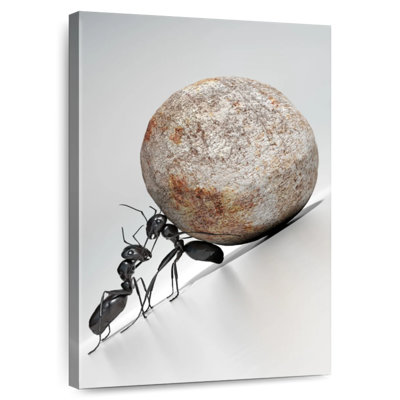 Brampt Black Ant Teamwork