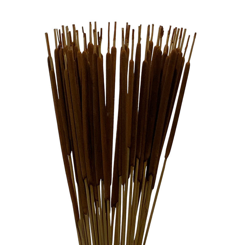 Tige d'herbe Flournoy, Cannelle