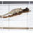 One-of-a-Kind 0.25'' Wood Bird Perch for Inside Cage