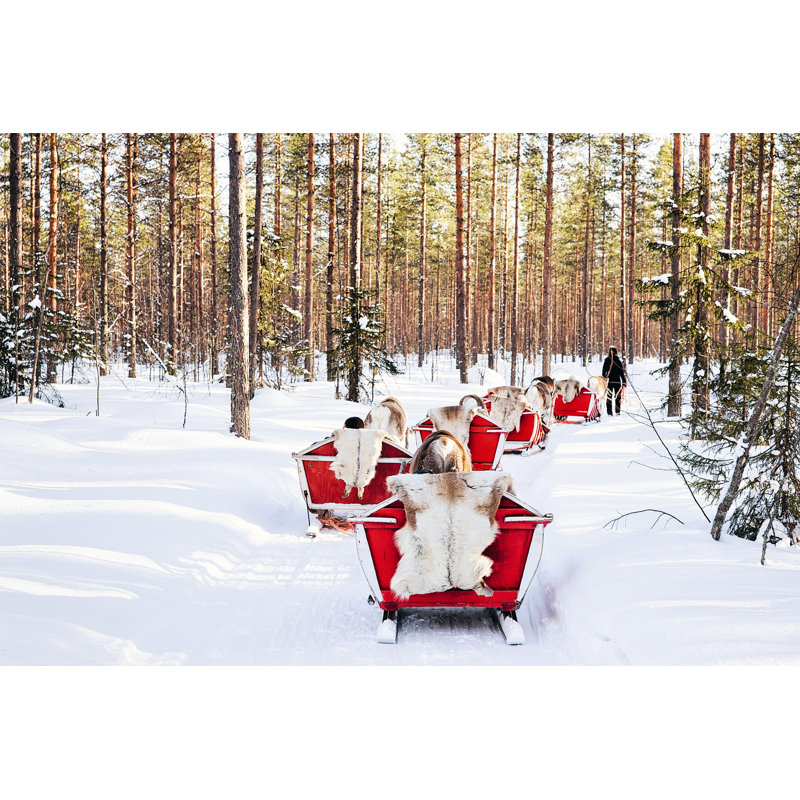 Reindeer Sled - Photographie sur toile tendue, H 24 po x l 36 po
