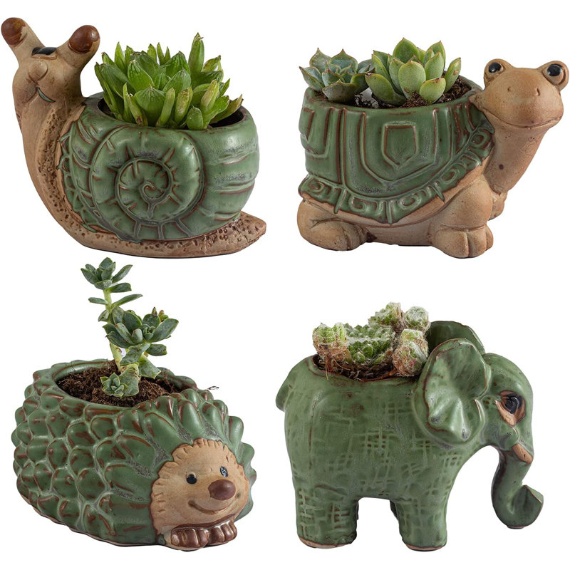 Ensemble de 4 petits pots de plantes grasses en céramique avec drainage