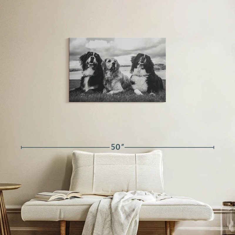 Brampt Bernese Mountain Dogs, 20" H x 30" W