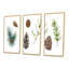 Ensemble de 3 branches de pin avec cadre flottant, impression sur toile-2018122573-2018122575