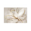 Transparent Beauty Lii - Wrapped Canvas Print-838013391-820488844