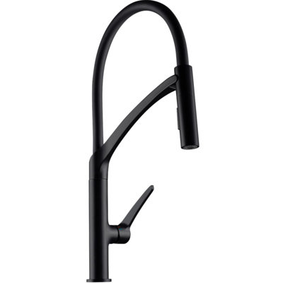 Ivy Bronx Barreau Pull Down Kitchen Faucet