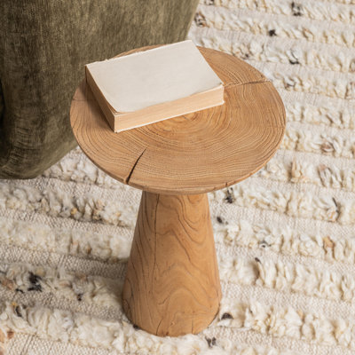 Alina Reclaimed Elm Accent Table